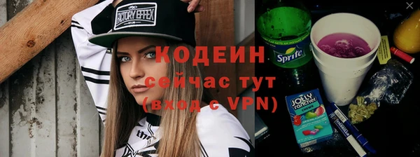шишки Абаза
