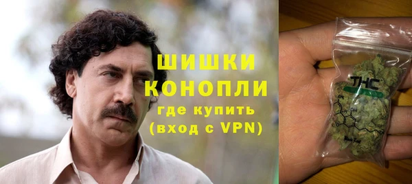 прущие грибы Абинск