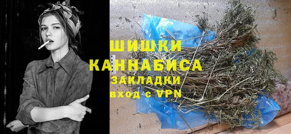 шишки Абаза