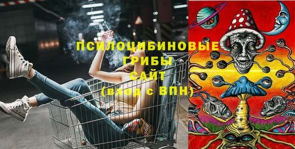 шишки Абаза