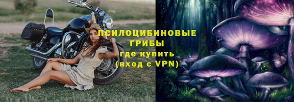 прущие грибы Абинск