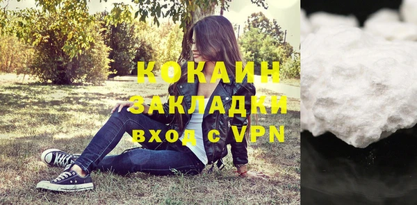 шишки Абаза
