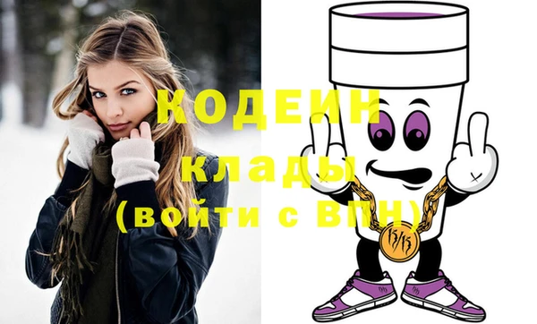 шишки Абаза