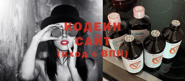 шишки Абаза