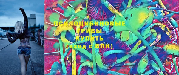 шишки Абаза