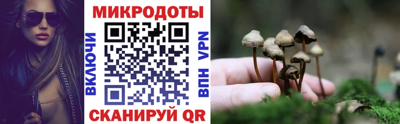 Галлюциногенные грибы Magic Shrooms  мега как войти  Скопин  купить  