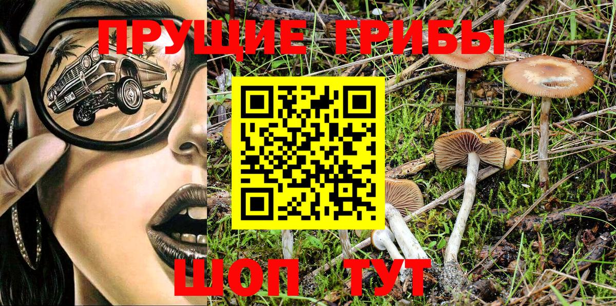 Псилоцибиновые грибы Magic Shrooms  Вход с VPN  Скопин 
