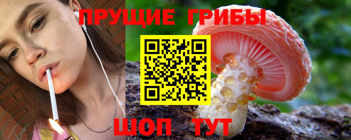 Галлюциногенные грибы MAGIC MUSHROOMS Скопин